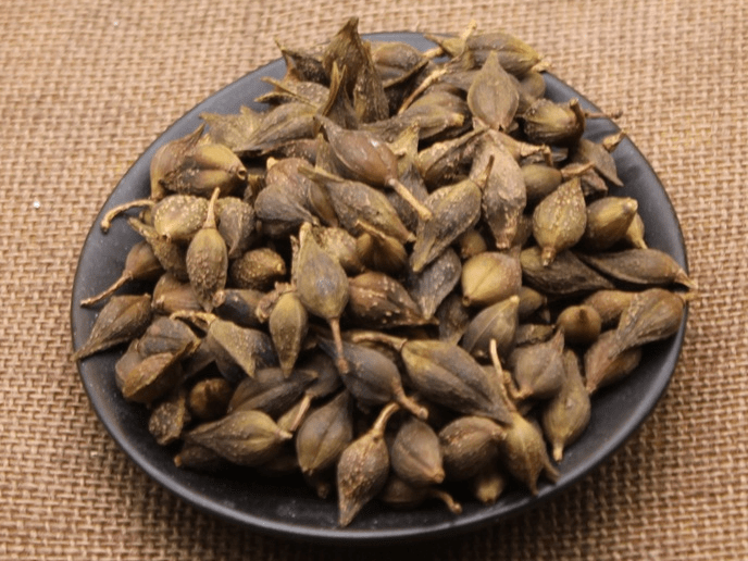 連翹_副本.png undefined